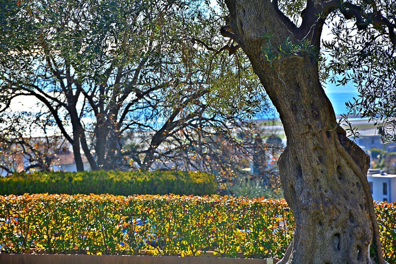 Oliviers De Fabron *