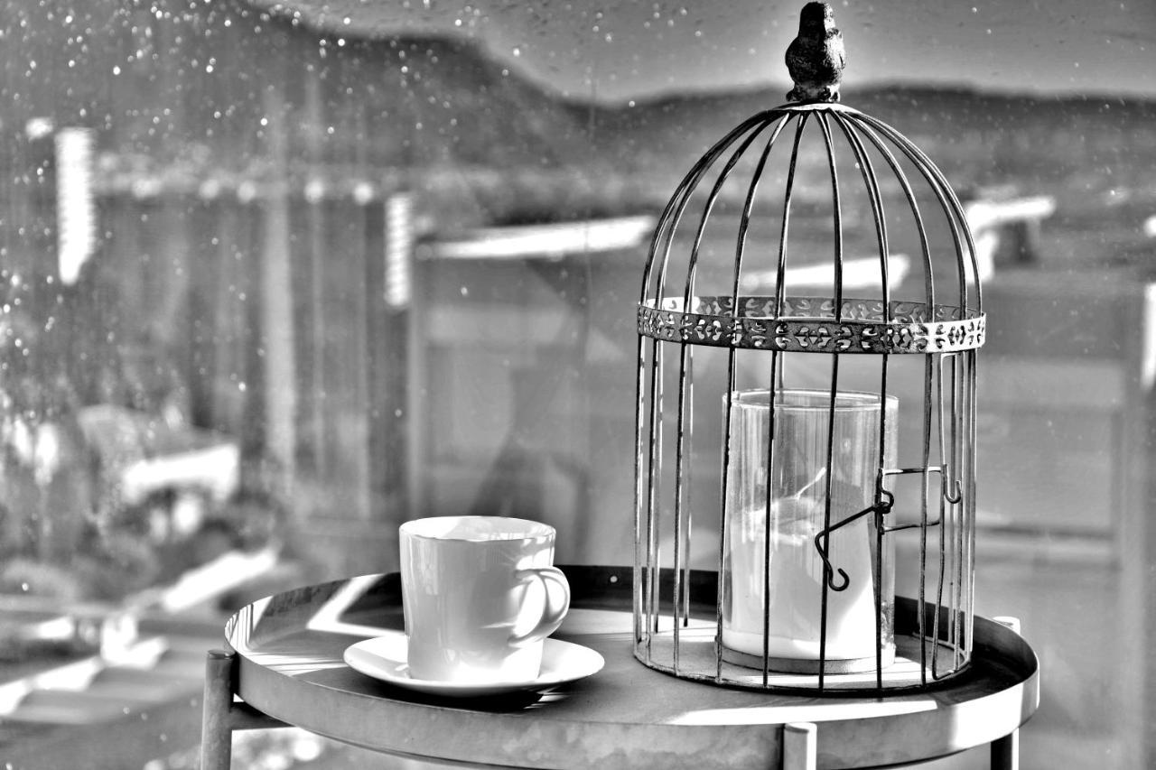 Oliviers De Fabron *