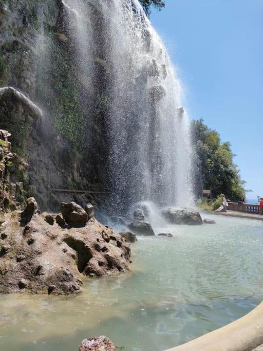 Apartment Joli Port De *