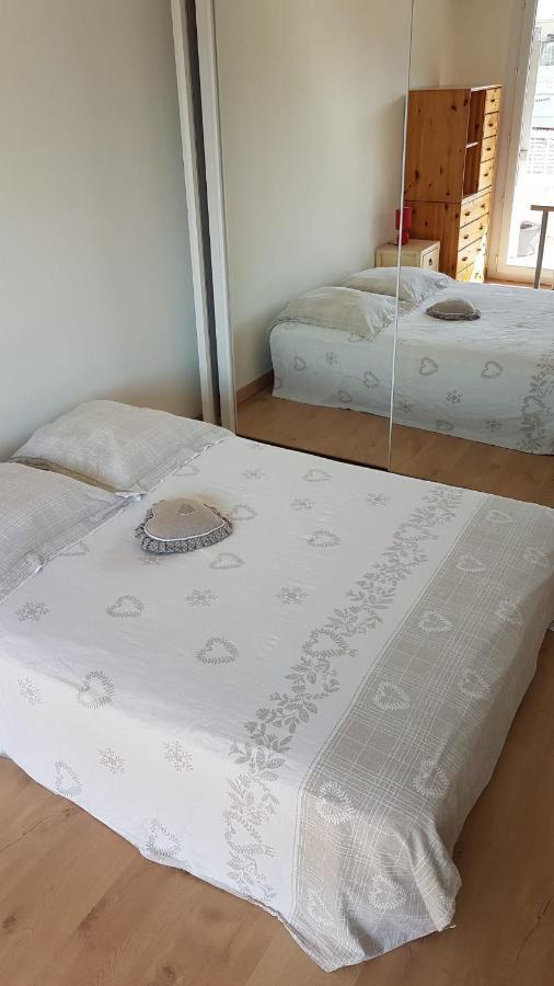 Appartement Tres Beau 3 Pieces Spacieux Lumineux Et Climatise