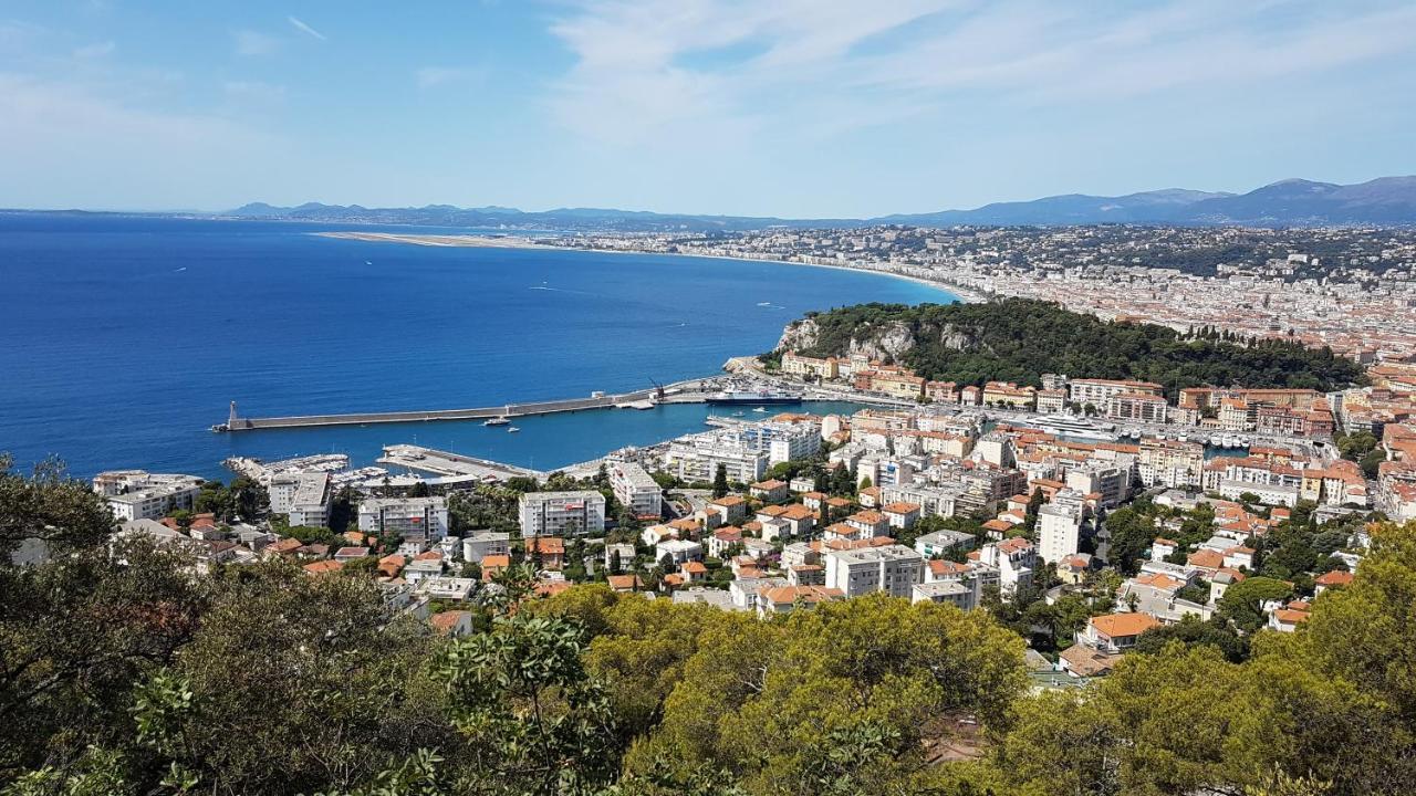 Tres Beau 3 Pieces Spacieux Lumineux Et Climatise Appartement