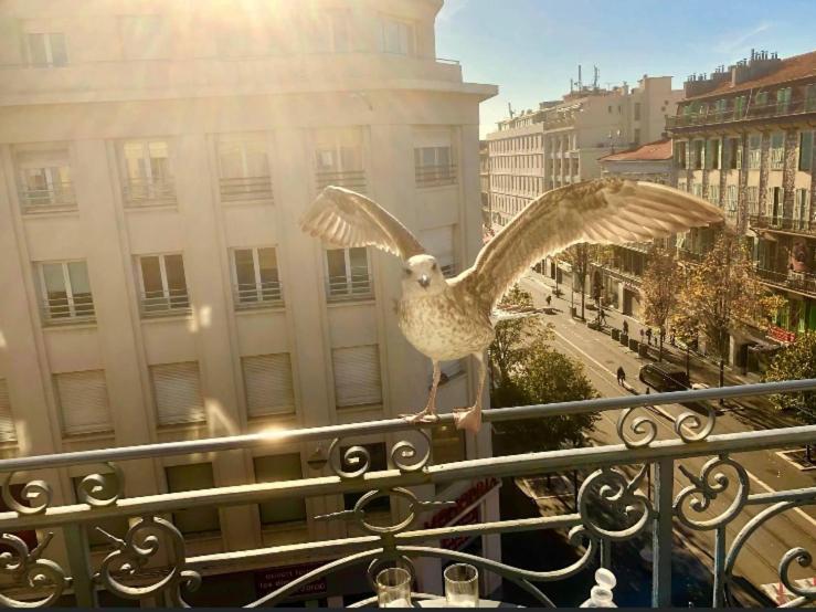 Magnifique Pied A Terre Centre Notre Dame Nice