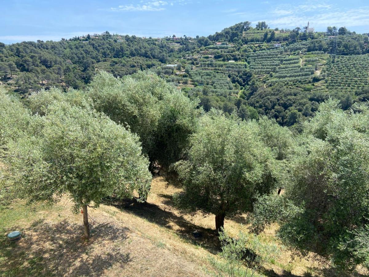 Avec Piscine Chauffee Collines Villa