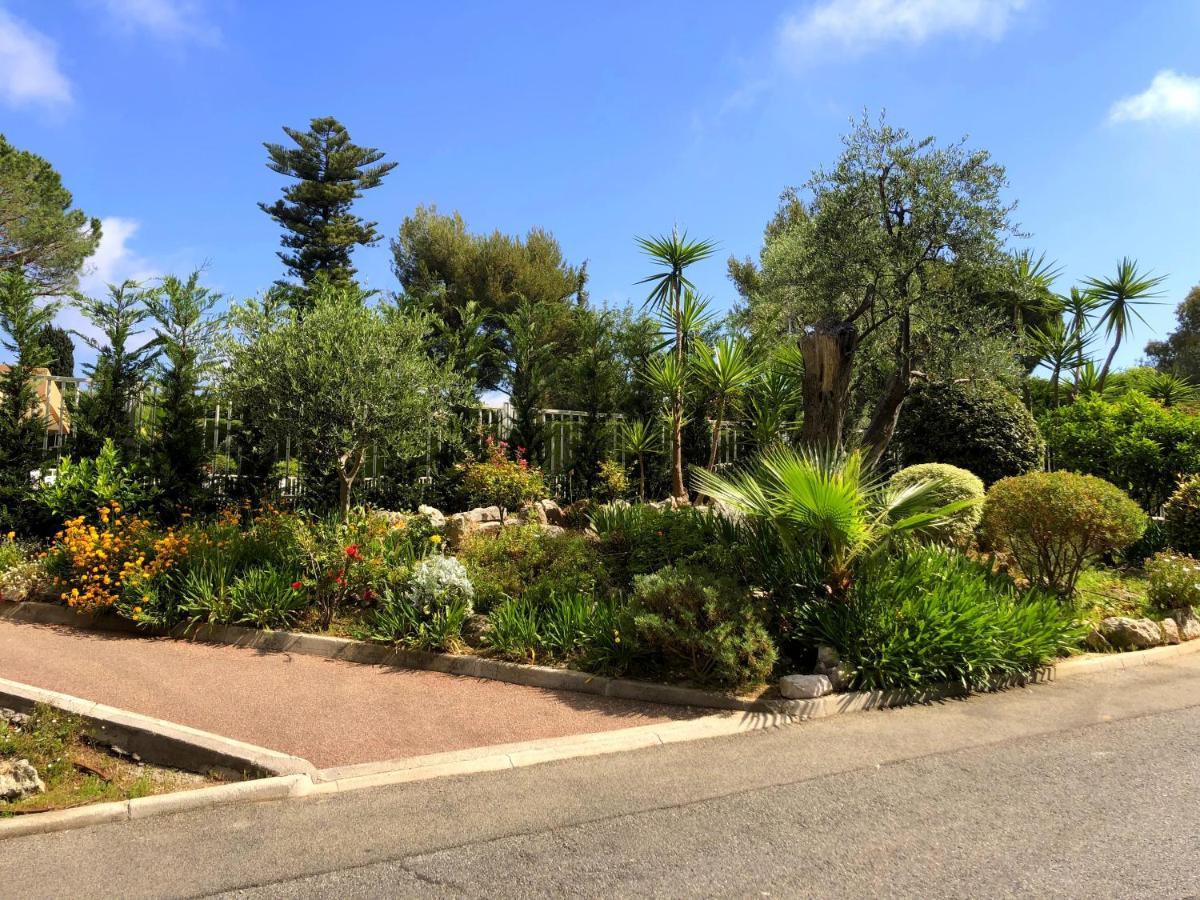 Oasis Mediterraneen Piscine & Parking Calme Absolu * Nice