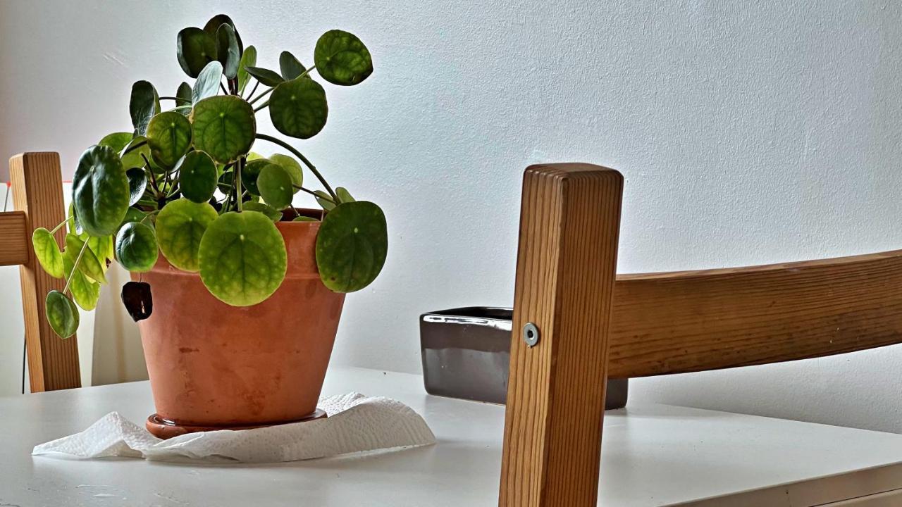 Apartment Le Riquier - Port Lympia A 10 Mins A Pied Nice