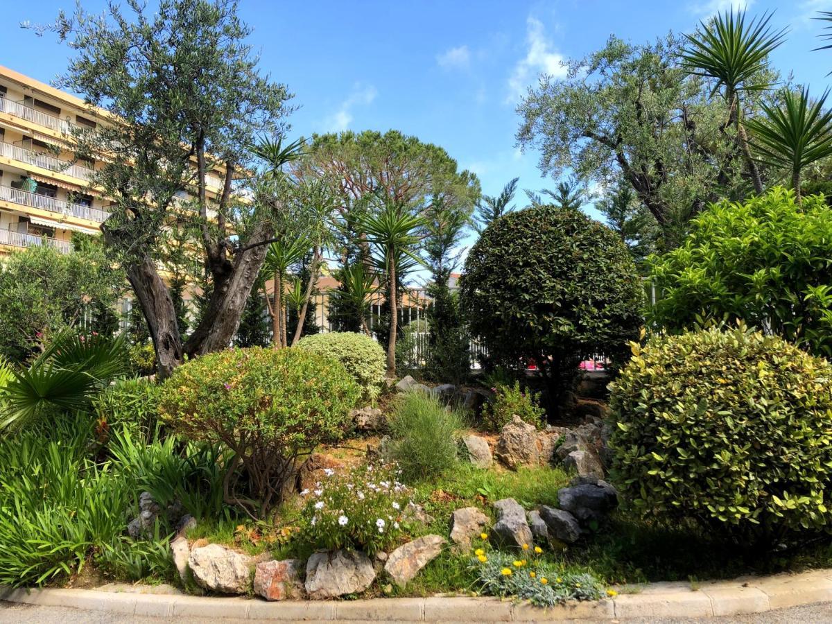 Oasis Mediterraneen Piscine & Parking Calme Absolu Apartment *