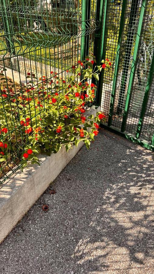 Le Val D'azur Apartment