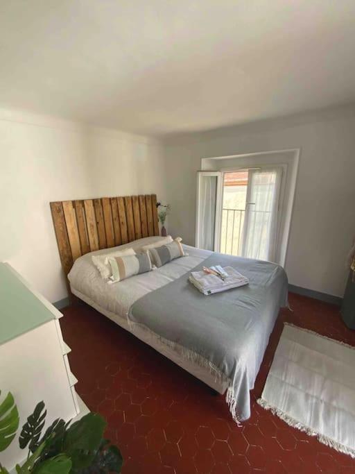 Typique Nicois En Plein Centre Apartamento *