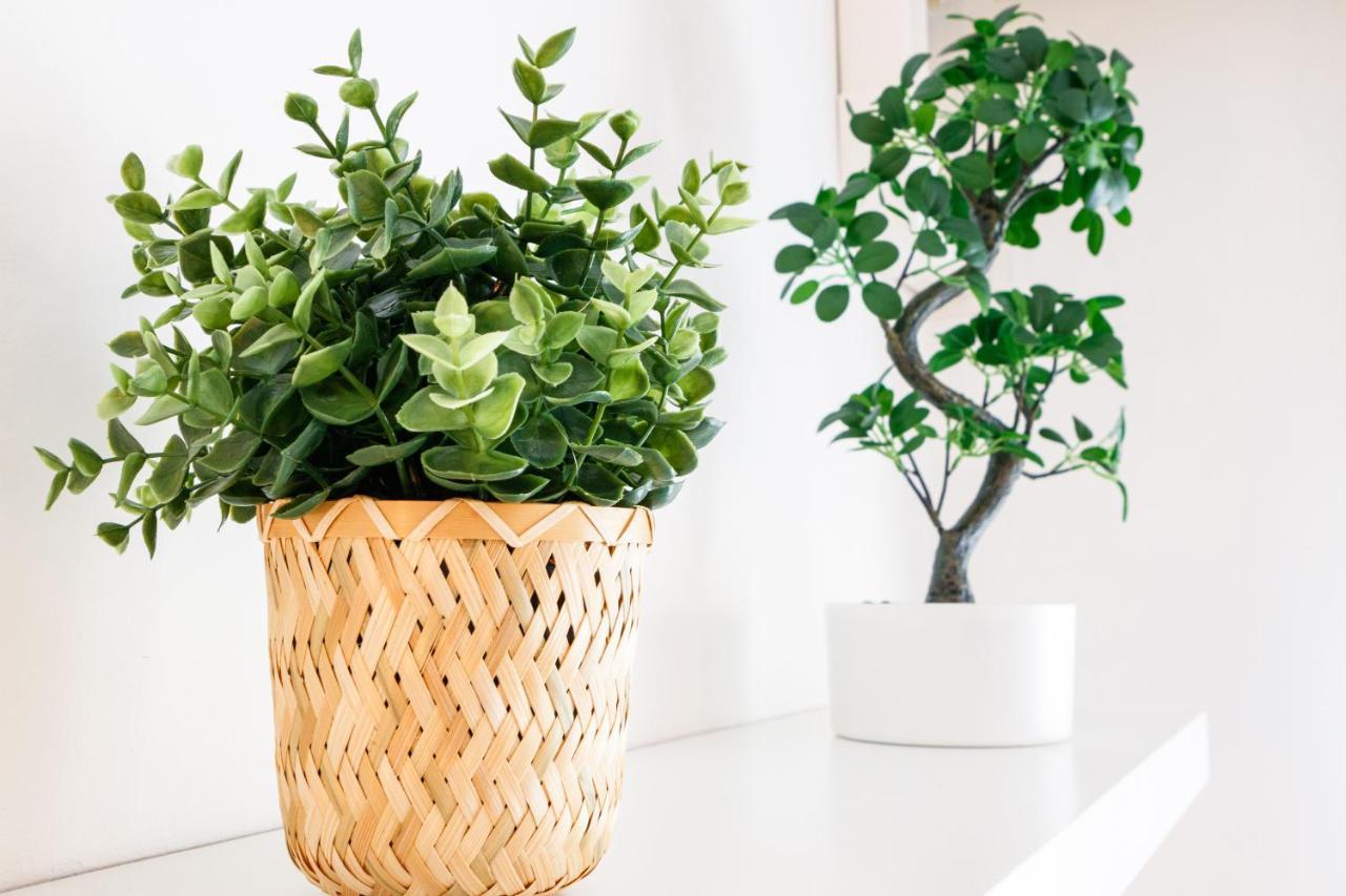 Nissa Bella Centre / Promenade Des Apartment *