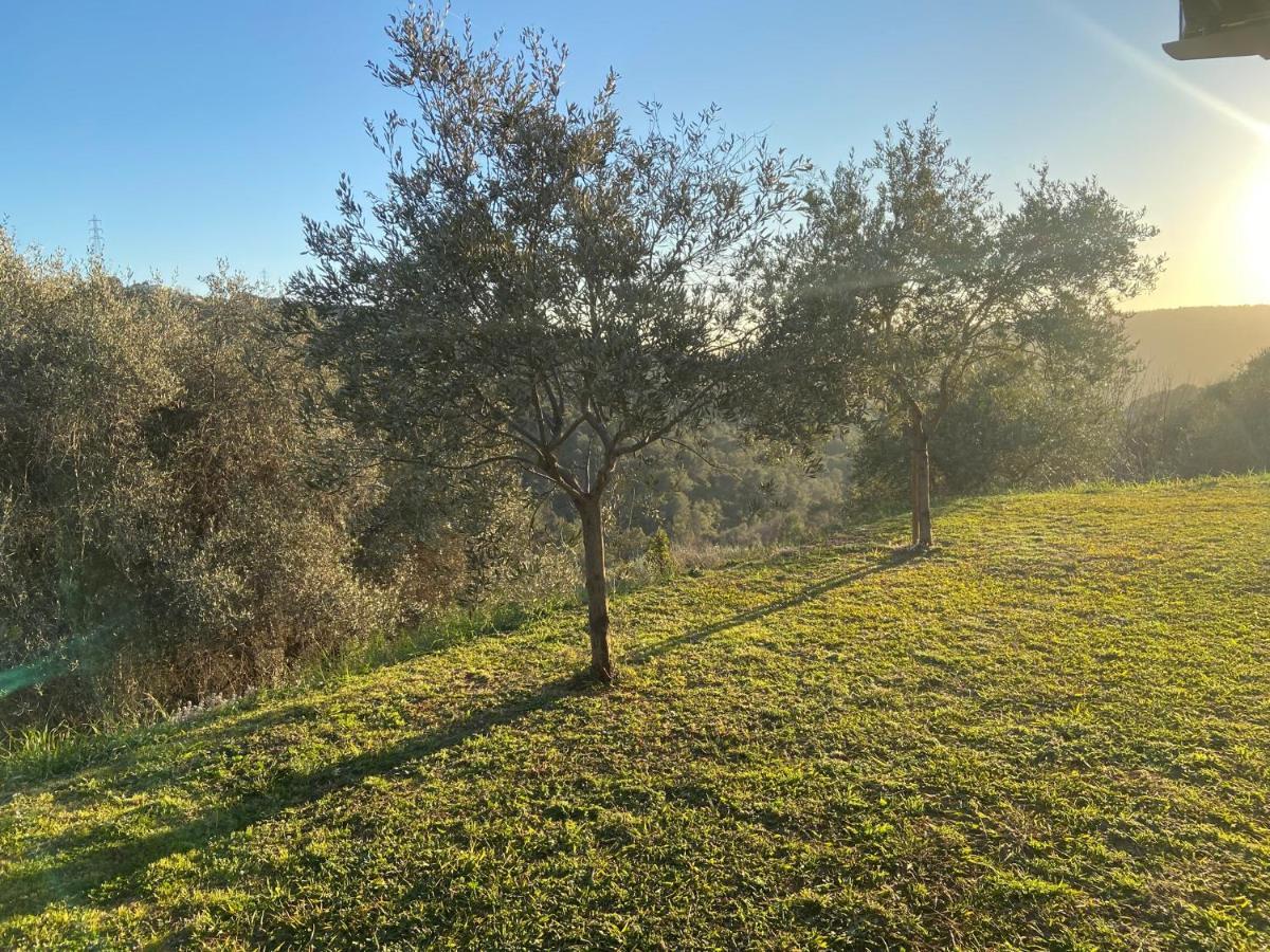 Avec Piscine Chauffee Collines Villa *