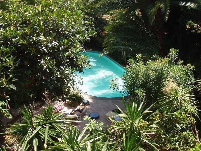 Le Windsor, Jungle Art