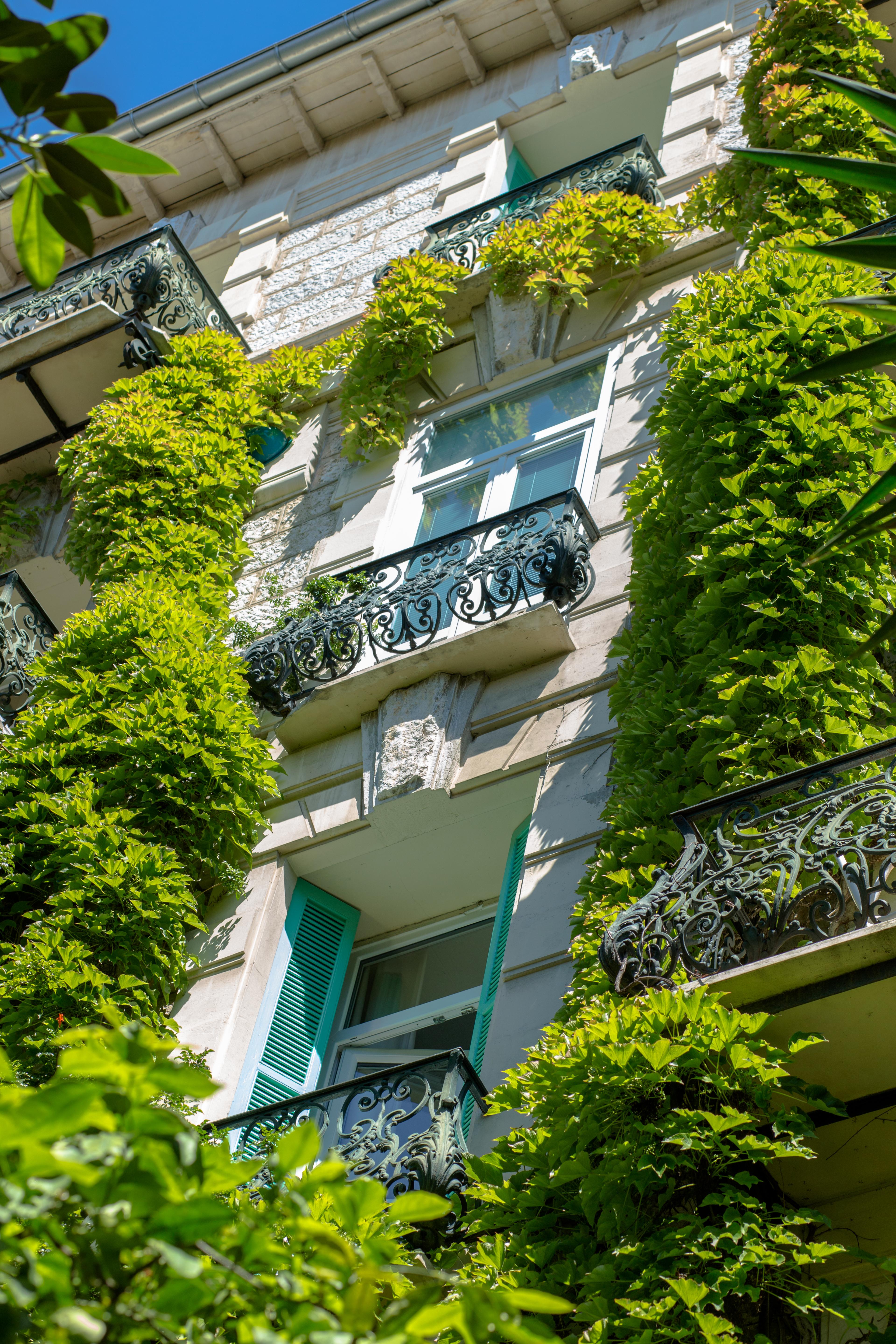 Le Windsor, Jungle Art Hotel 4*