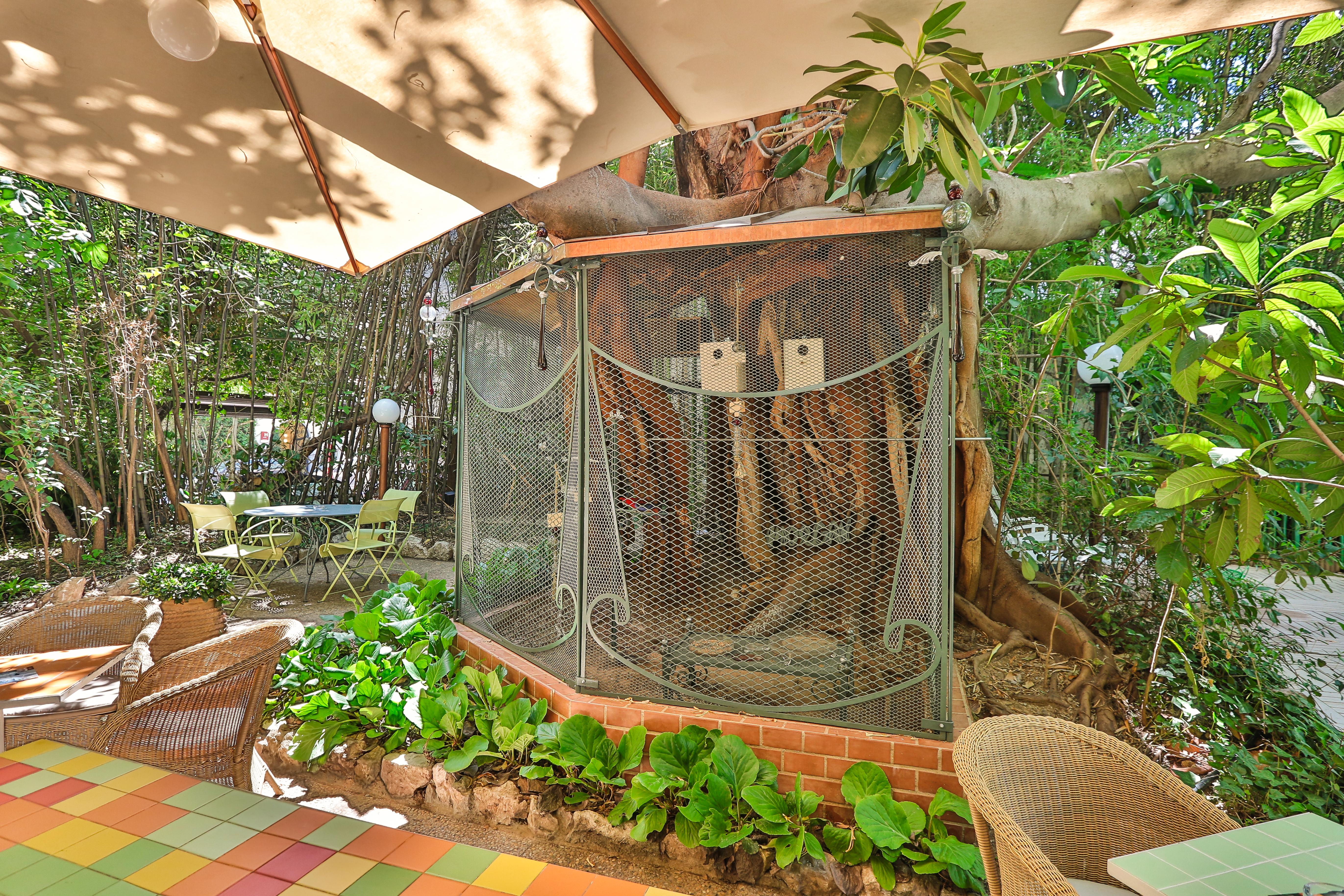 Le Windsor, Jungle Art Nice