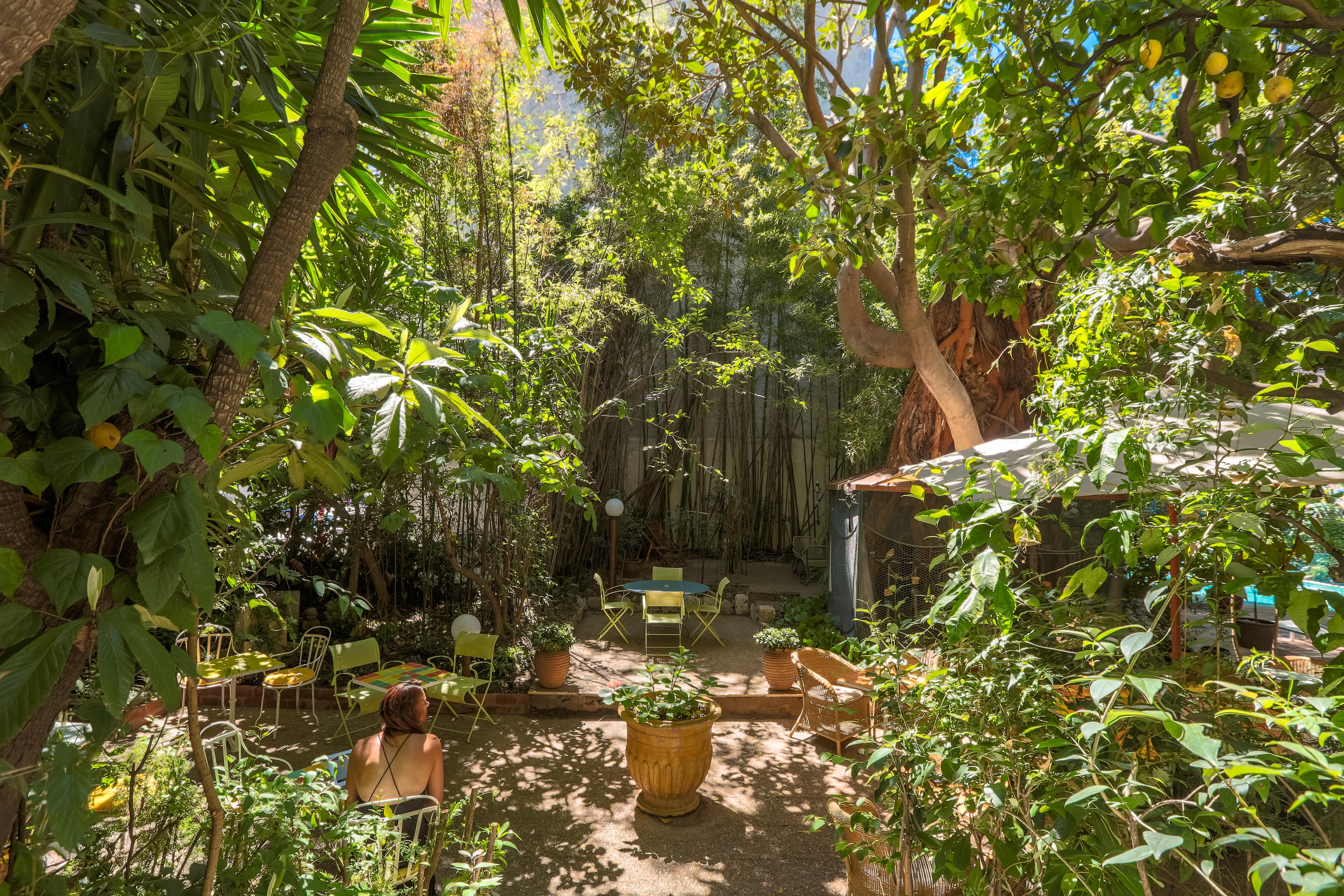 Le Windsor, Jungle Art 4*