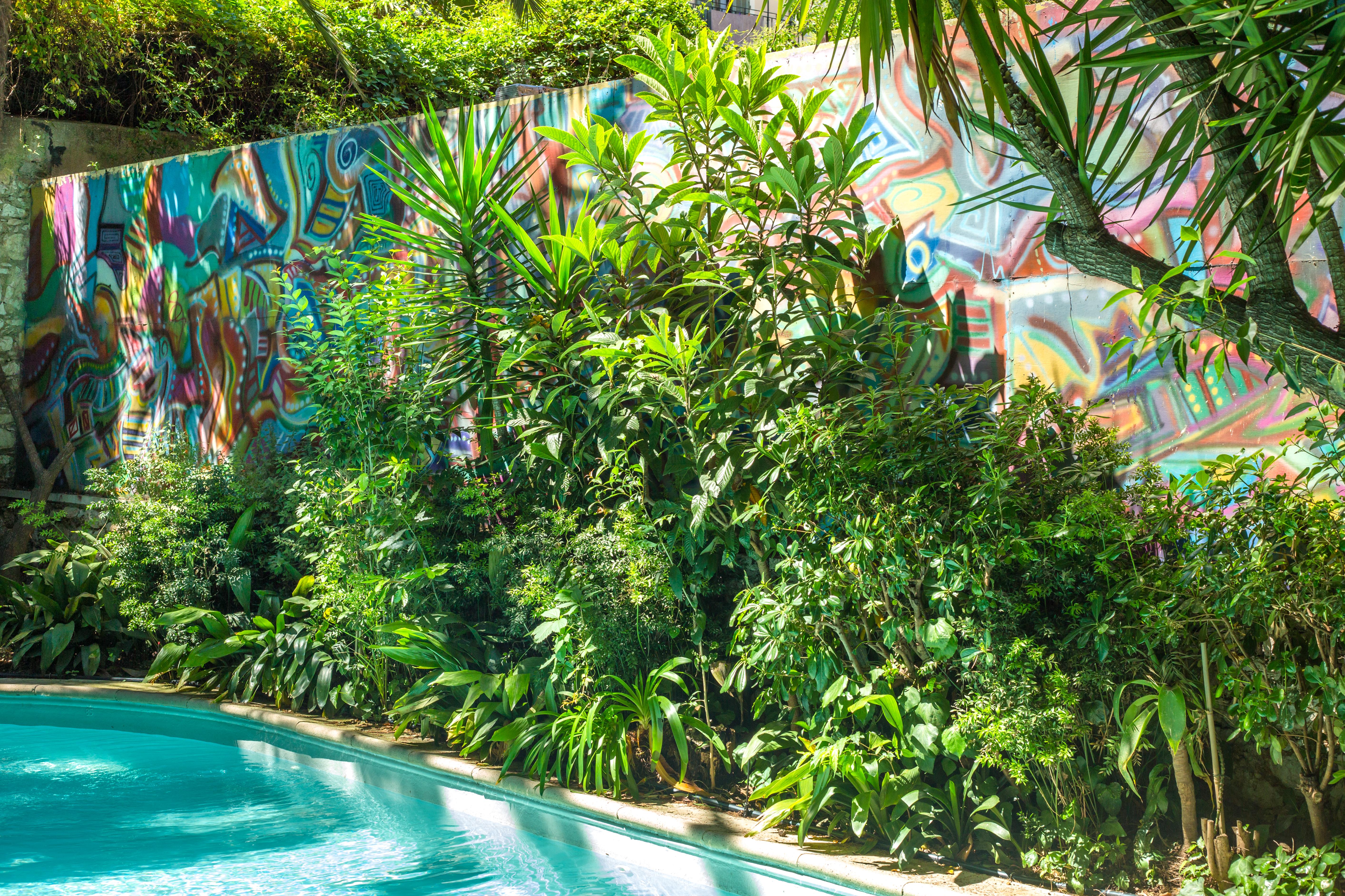 Le Windsor, Jungle Art Hotel