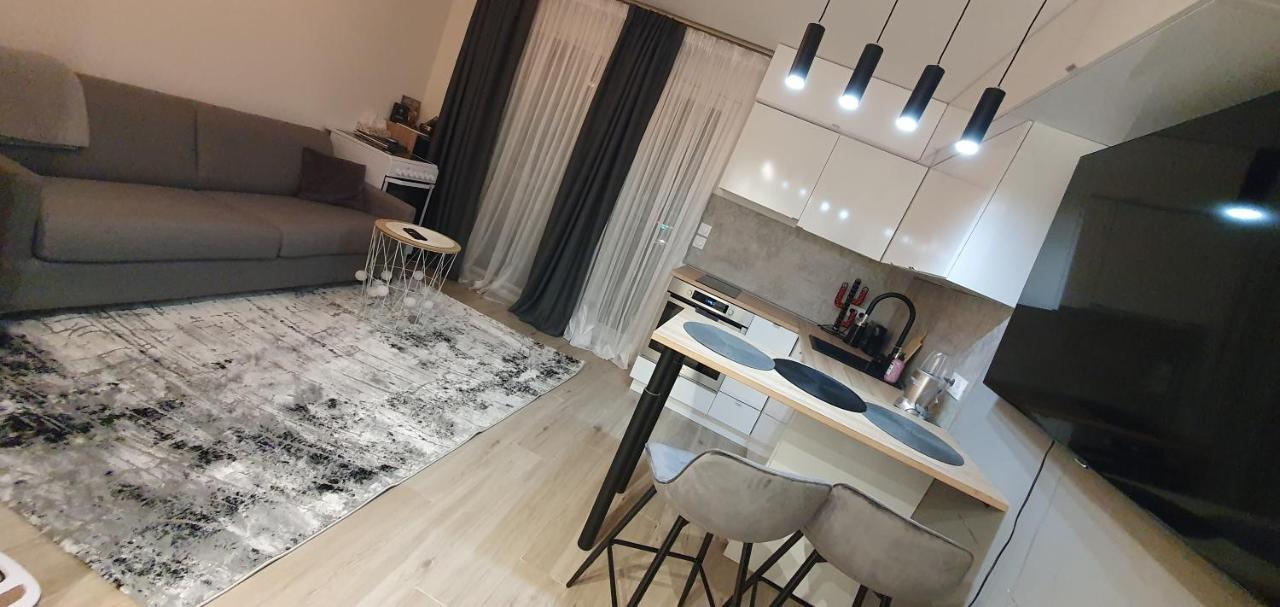 Apartment Lovely 1 Bedroom Vacation With Free Parking. Nice
