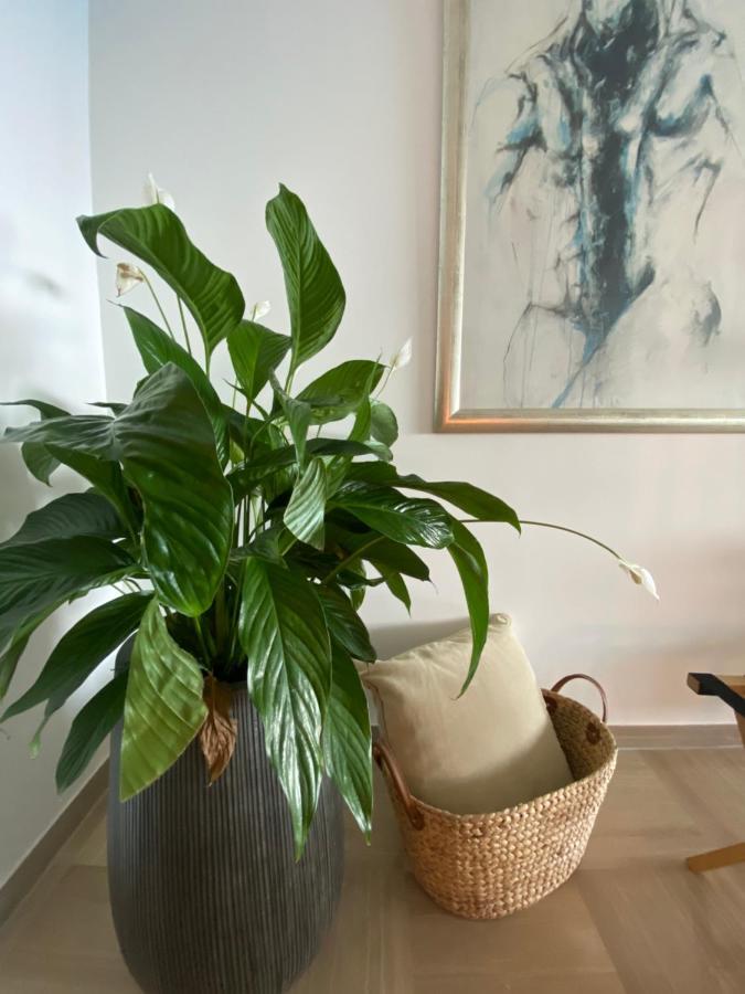 Apartamento Le Bahia *