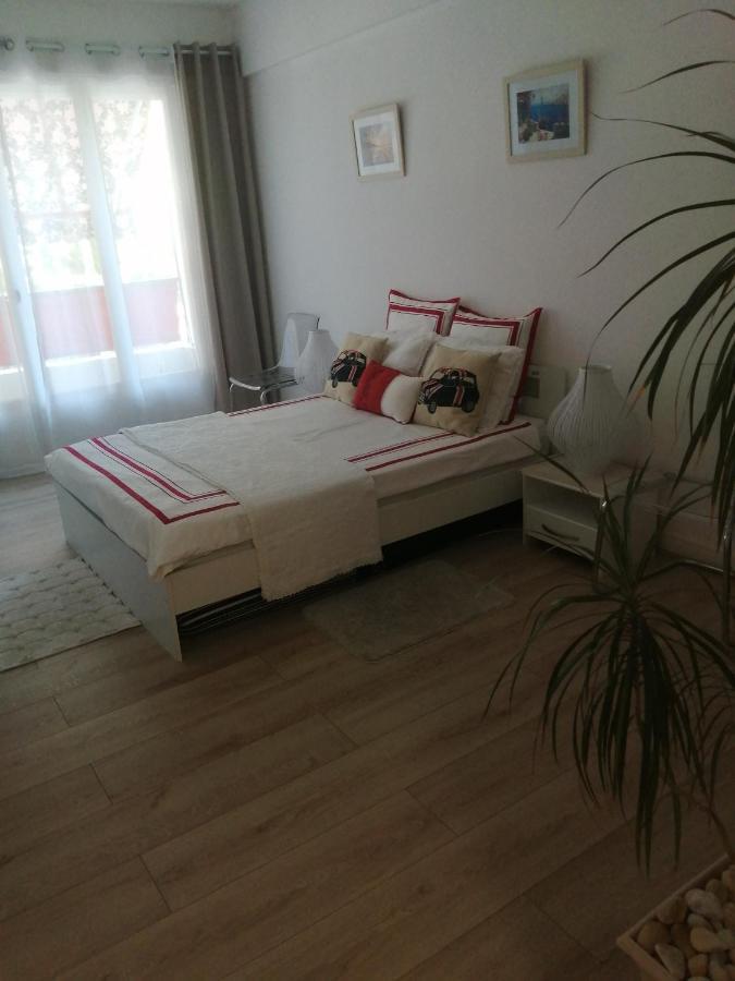 5 Minute De La Promenade Apartment Nice