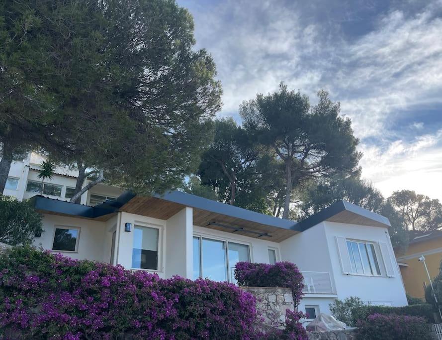 Villa Vue Imprenable Nice