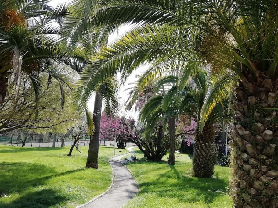 Nord 2 Pieces Calmes,wifi,clim,balcon,parking Apartment