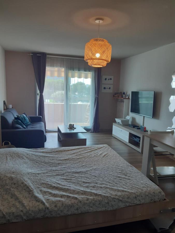 Apartment 3p Avec Garage Proche Aeroport, Tramway Et Avec Toutes Commodites!