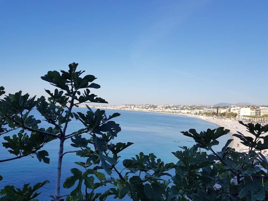Appartement & Les Cypres *