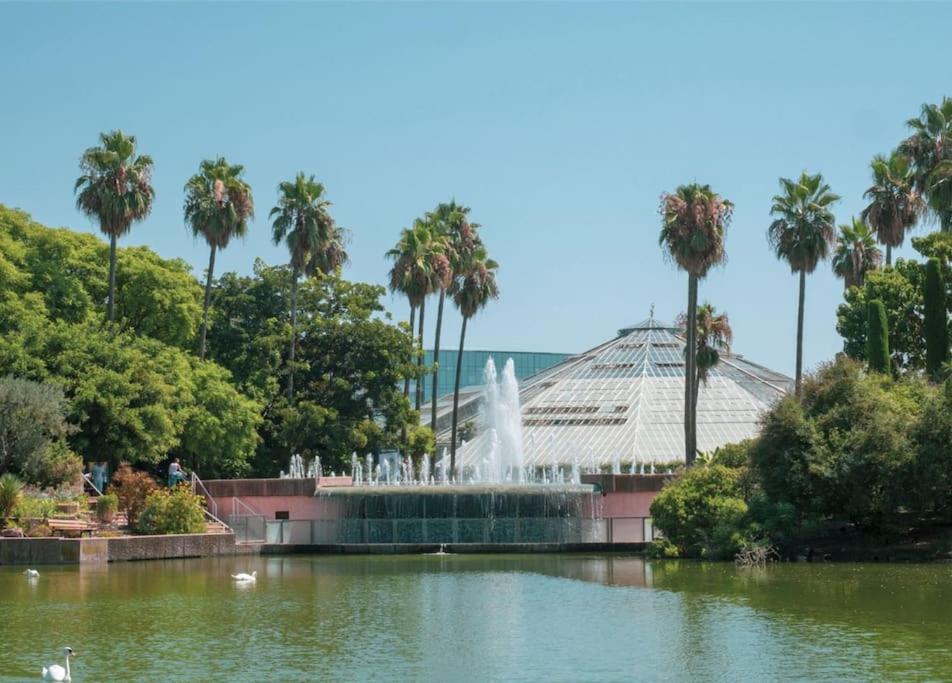 Superbe Neuf - 5min Walk * Nice