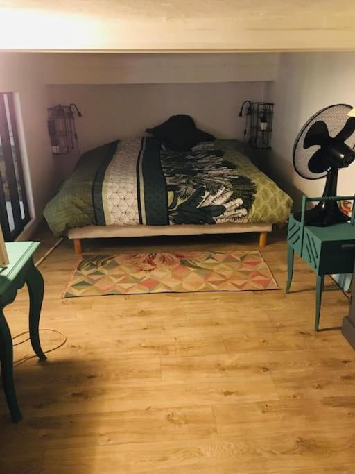 Loft D Artistes Avec Patio Au Port De Nice