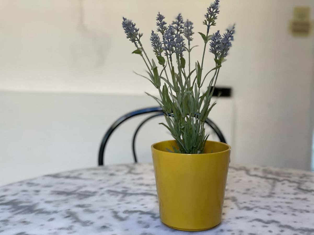 Renting - Bonaparte - Luxury Loft Trendy Neighborhood - Ac - Fully Equipped Apartment