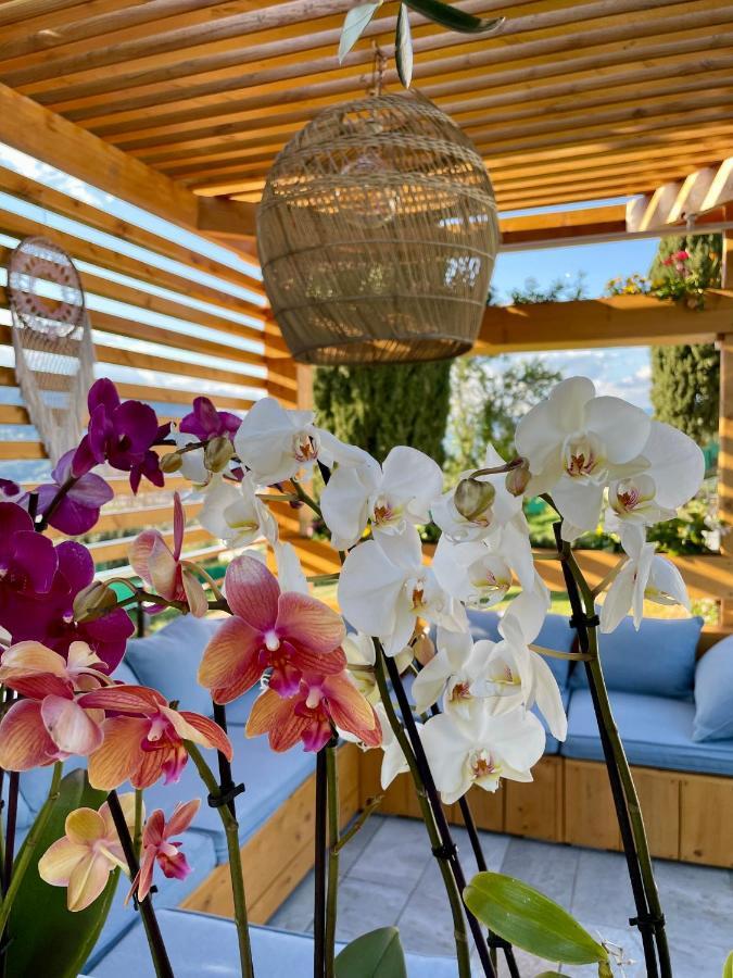 Escondida Bed & Breakfast Nice