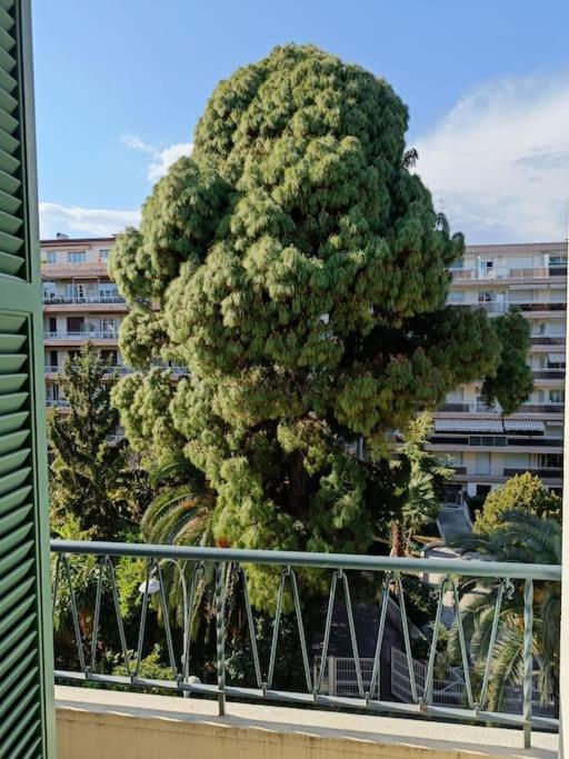 Bel Climatise Apartment