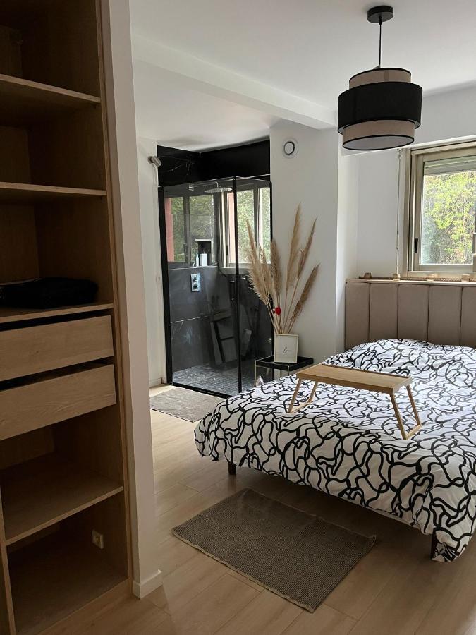 Apartment Luxury - 10mn Walk From Beach