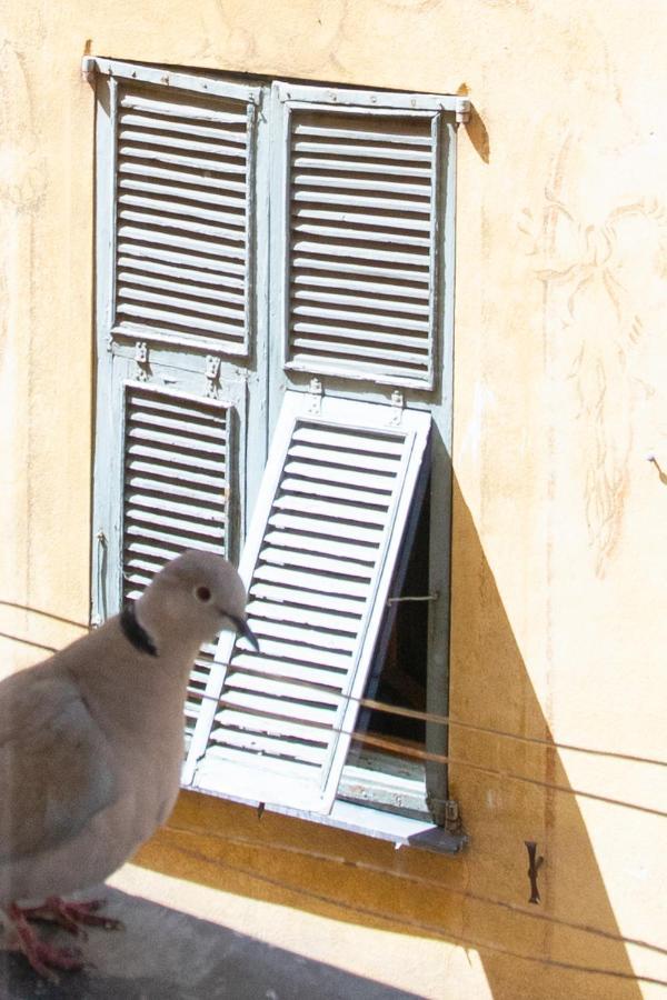 26 Vieux Apartment