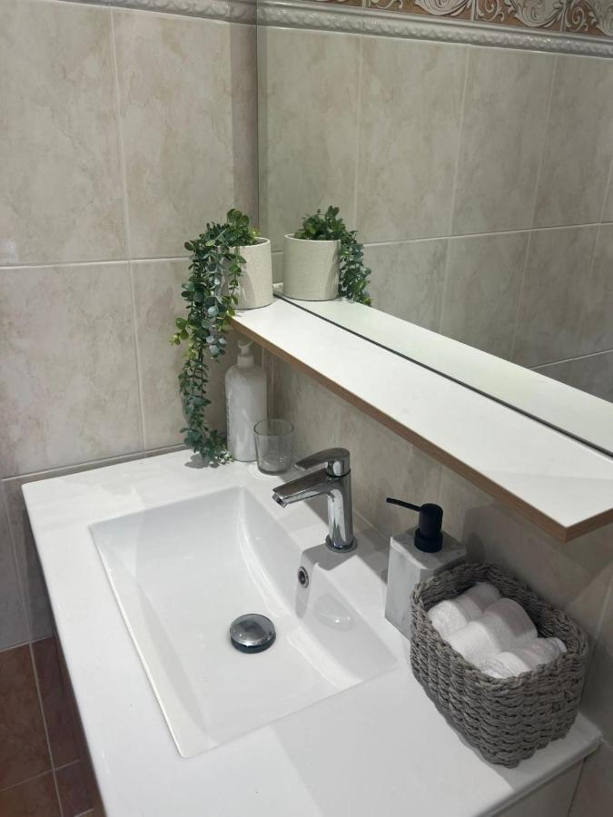 Le Michelangelo - Place Massena Apartment