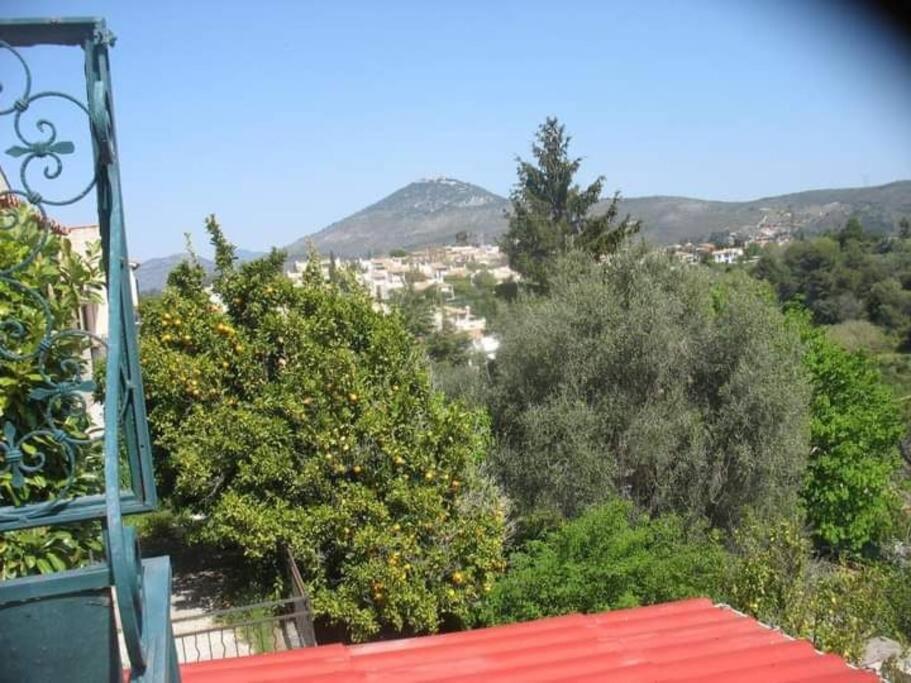 Maison Traditionnelle Sur Les Collines Nicoises * Nice