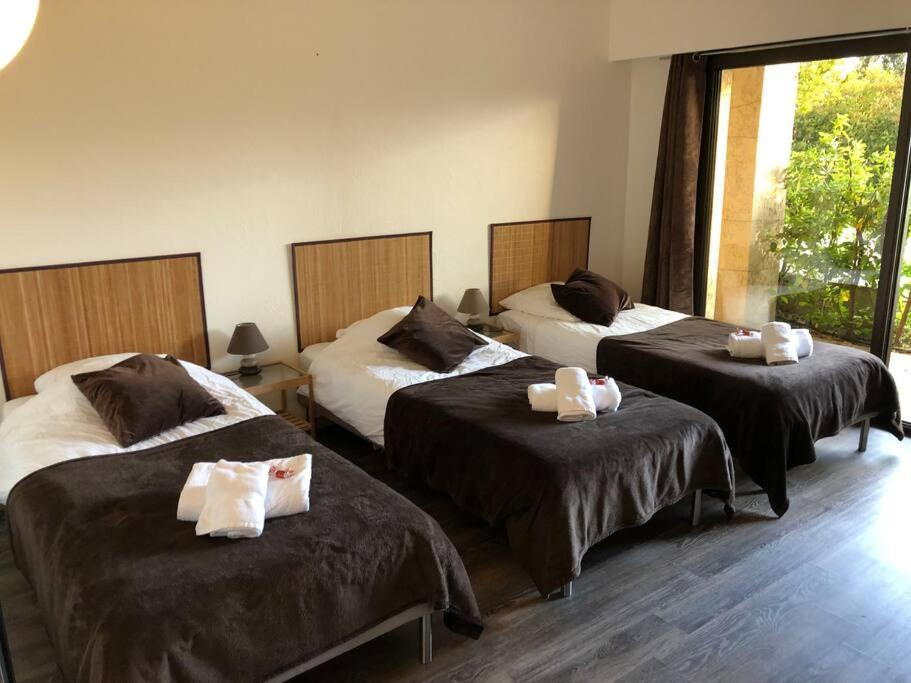 Loucisa Piscine Vue 8 Chambres 25 Personnes Villa Nice