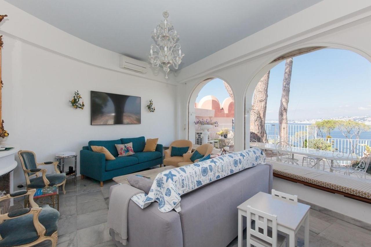 Villa Chateau Des - Five Stars House Nice