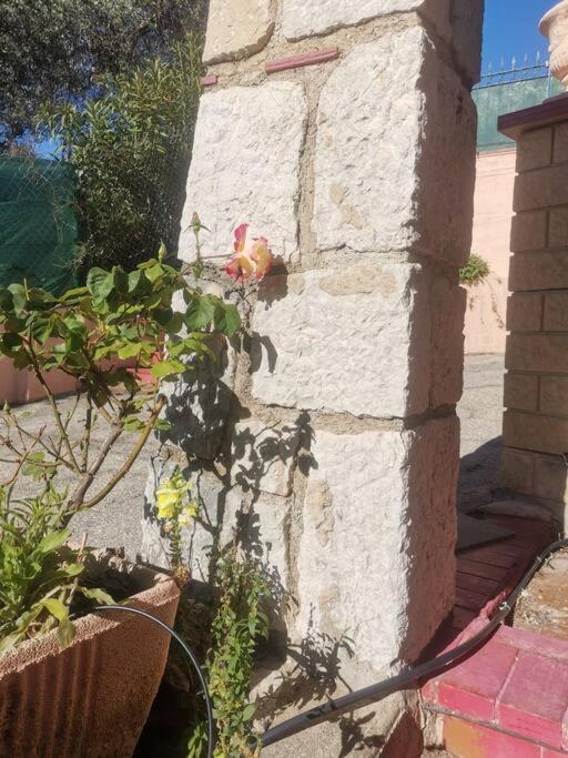 Maison Traditionnelle Sur Les Collines Nicoises *