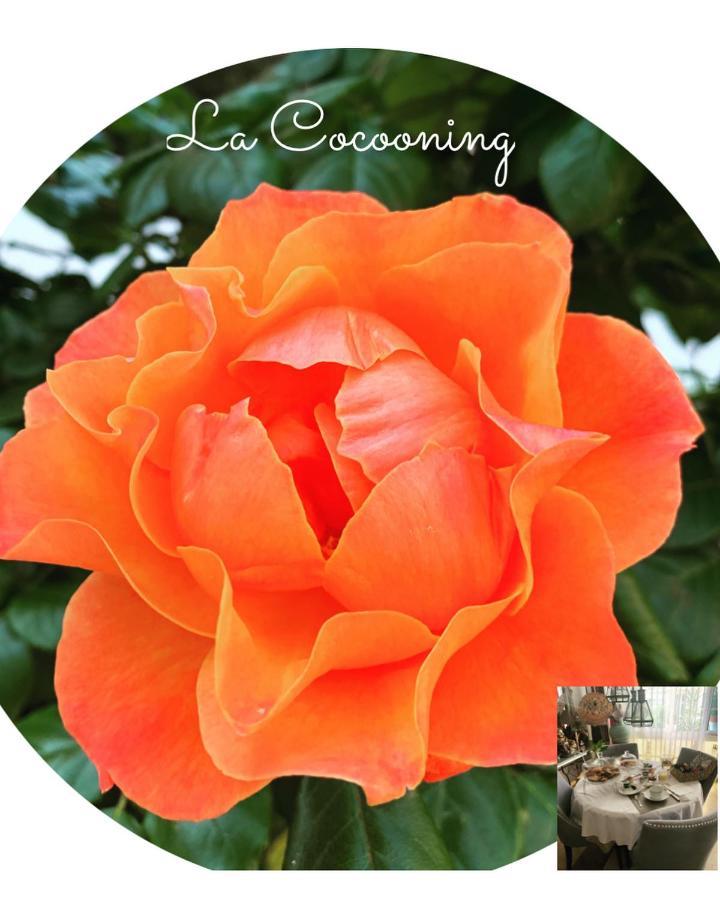Et Salle De Bain Cocooning Labellisee