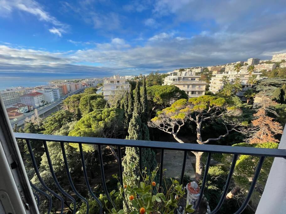 Les Grands Cedres 2 Pieces Vue Nice