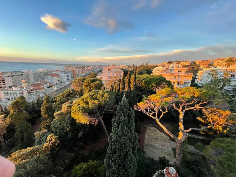 Appartement Les Grands Cedres 2 Pieces Vue