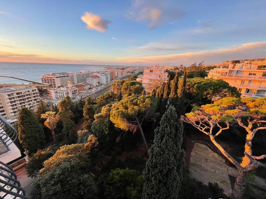 Apartment Les Grands Cedres 2 Pieces Vue Nice