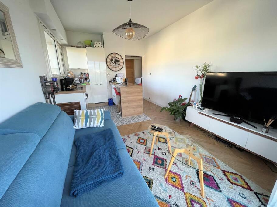 Apartment Les Grands Cedres 2 Pieces Vue Nice