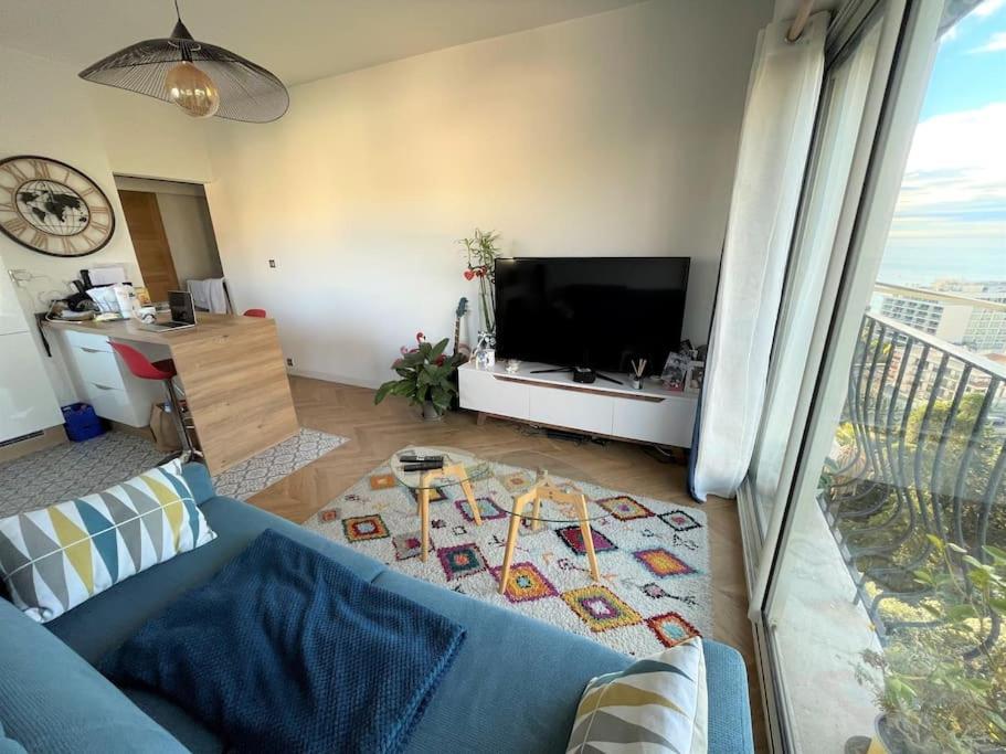 Les Grands Cedres 2 Pieces Vue Appartement Nice