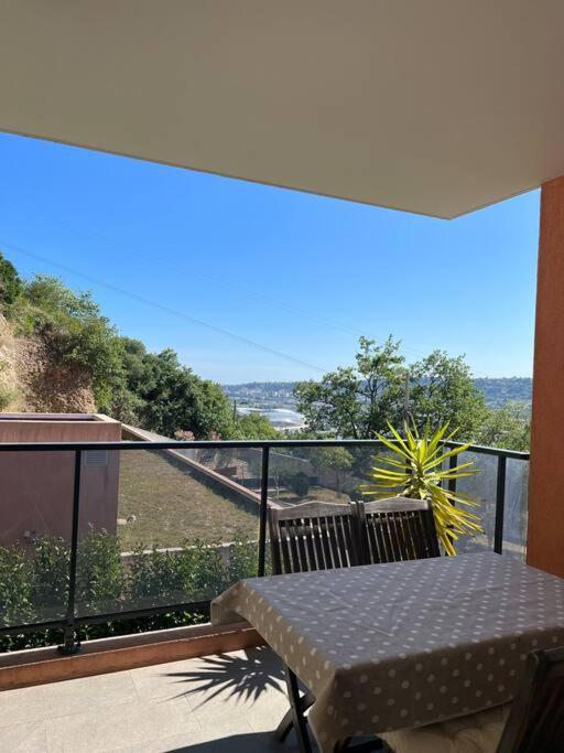 Apartment Tres Joli 2 Pieces Calme Ensoleille Avec Piscine Nice