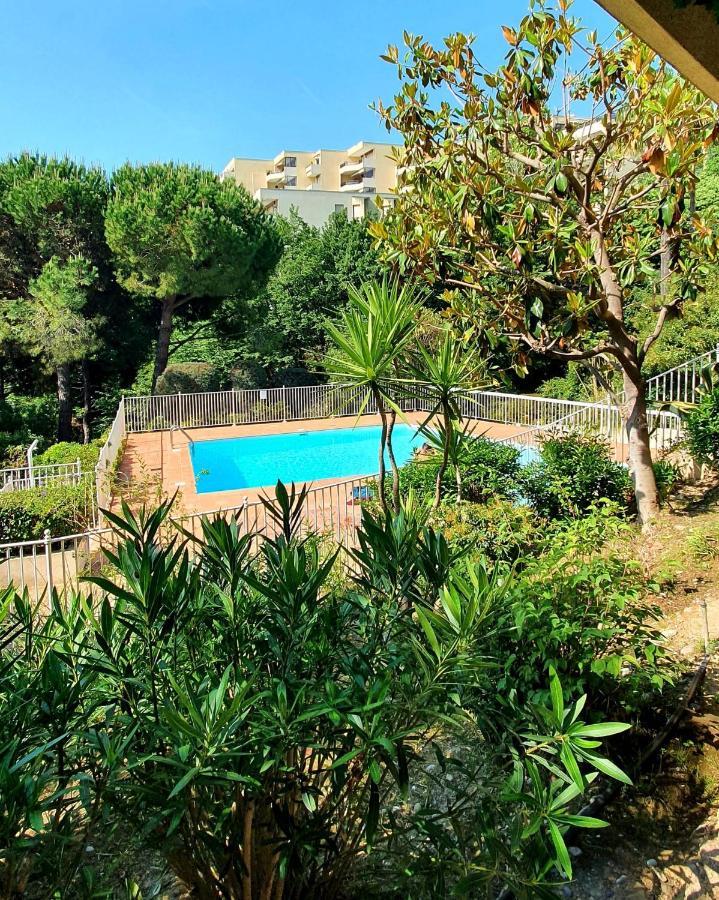 Apartment Exceptionnel Studio Proche Mer Avec Piscine, Parking Et Terrasse *