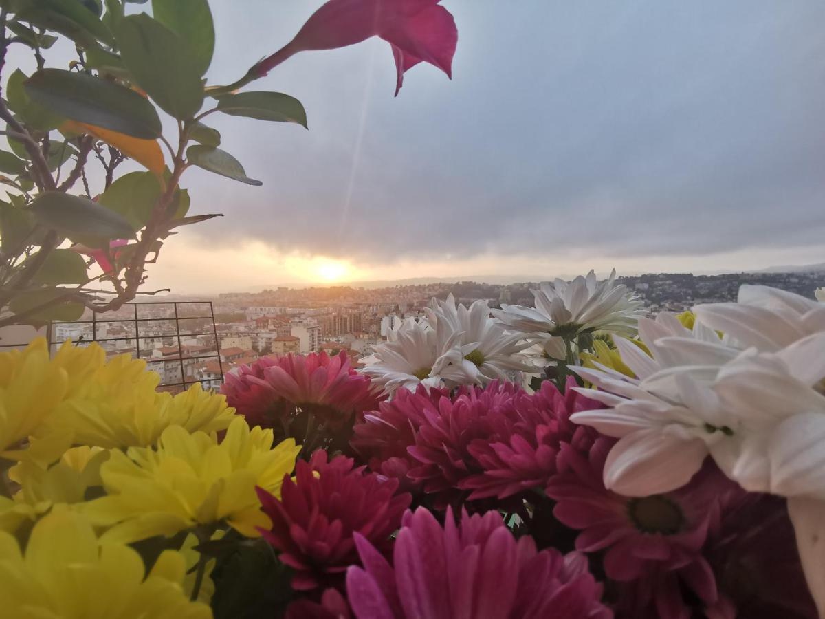 Double With Great View Homestay *