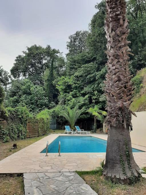 Jardin Piscine Holiday home Nice