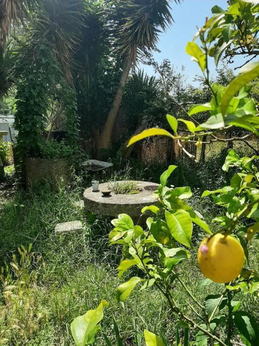 Holiday home Jardin Piscine Nice