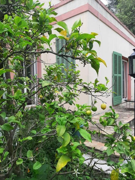 Holiday home Jardin Piscine